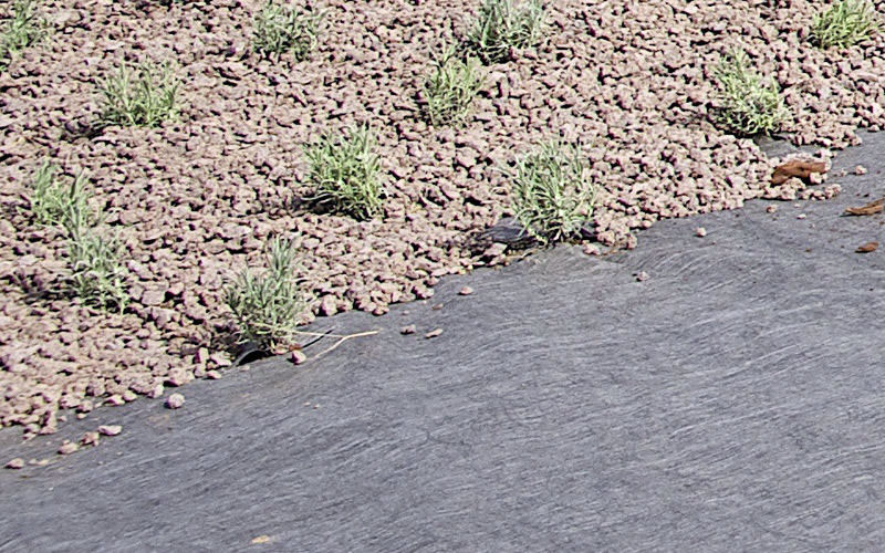 Natte Root Guard 225cm - 260g    25ml