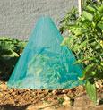 Green Starter 3 pi�ces � 35 cm - Acc�l�re la croissance des jeunes plantes en les prot�geant du froid et des intemp�ries. La temp�rature sous le chapeau est d�environ 5 �C sup�rieure � la temp�rature ext�rieure. La forme conique et l�ouverture au sommet mod�rent l�effet de serre. Se fixe au moyen des agrafes FIXSOL. R�siste aux UV. Hauteur: 30 cm.