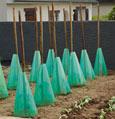 Green Starter Tomato 3 pi�ces  - Forme haute convenant sp�cialement aux plants de tomates. Le c�ne peut �tre rehausser au fur et � mesure de la croissance de la plante au moyen des trous situ�s sur le sommet. � 30 cm, hauteur 50 cm. 