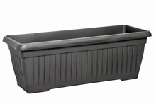 Caisse pour plantes,plastique - CosteAnthracite, 50x20cm 17.3cm H