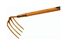 Larron Croc � col de cygne - 4 dents ovales 180mm, manche fr�ne 135cm long.