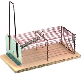 Trappe � souris hongroise - n�18, 90mm larg, 180mm long, 
