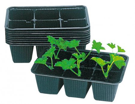 Barquettes, 6 s�parations - 500 p. noir